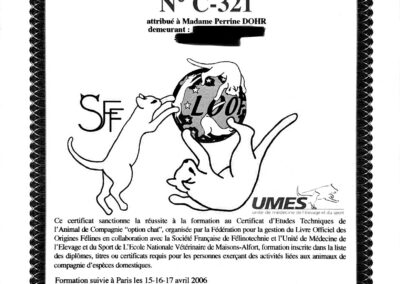 Diplômes CETAC option chat