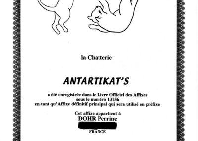 Attestation affixe Chatterie Antartikat Norvégien